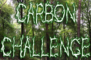 Carbon Challenge