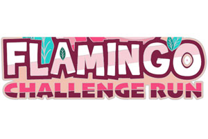 Flamingo Run Challenge